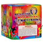 Magnificent Festival